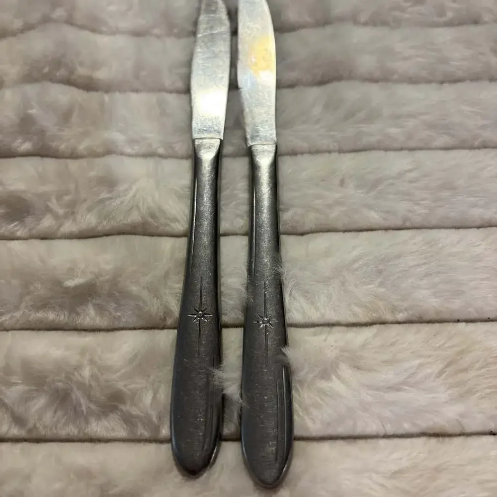 Pair of 2 Vintage Oneida Twin Star Stainless Dinner Knives 8.25